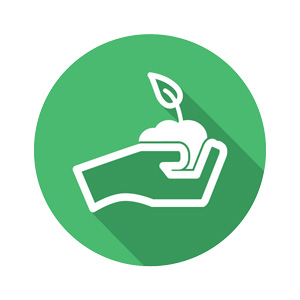 link to Pasco Student Wellness